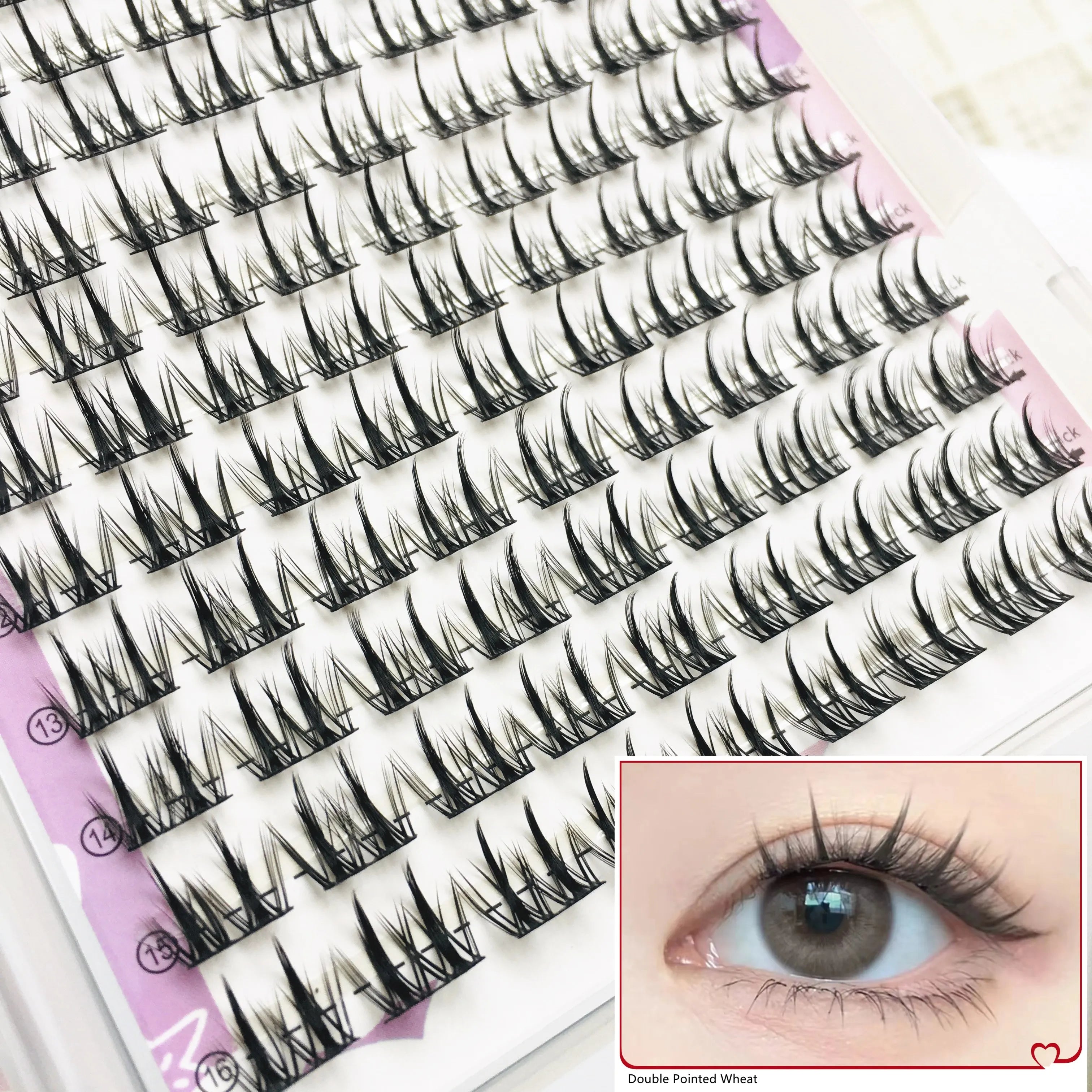 Lash Extension Book